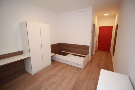 1-Zimmer-Apartment (4).jpg