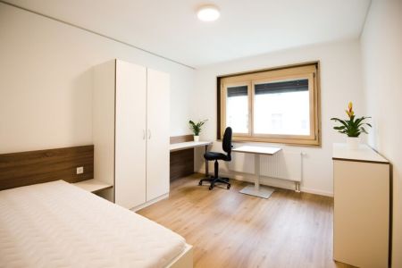 3-Zimmer-Apartment (1).jpg